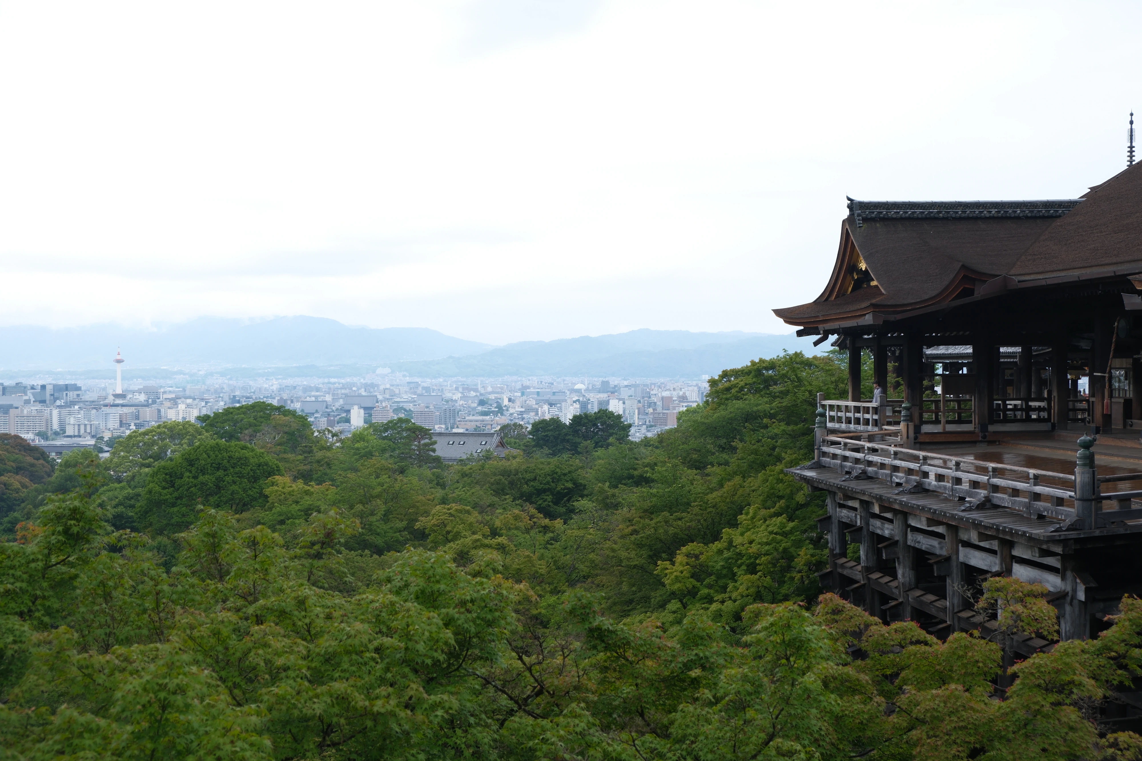 清水寺本堂 清水寺本堂