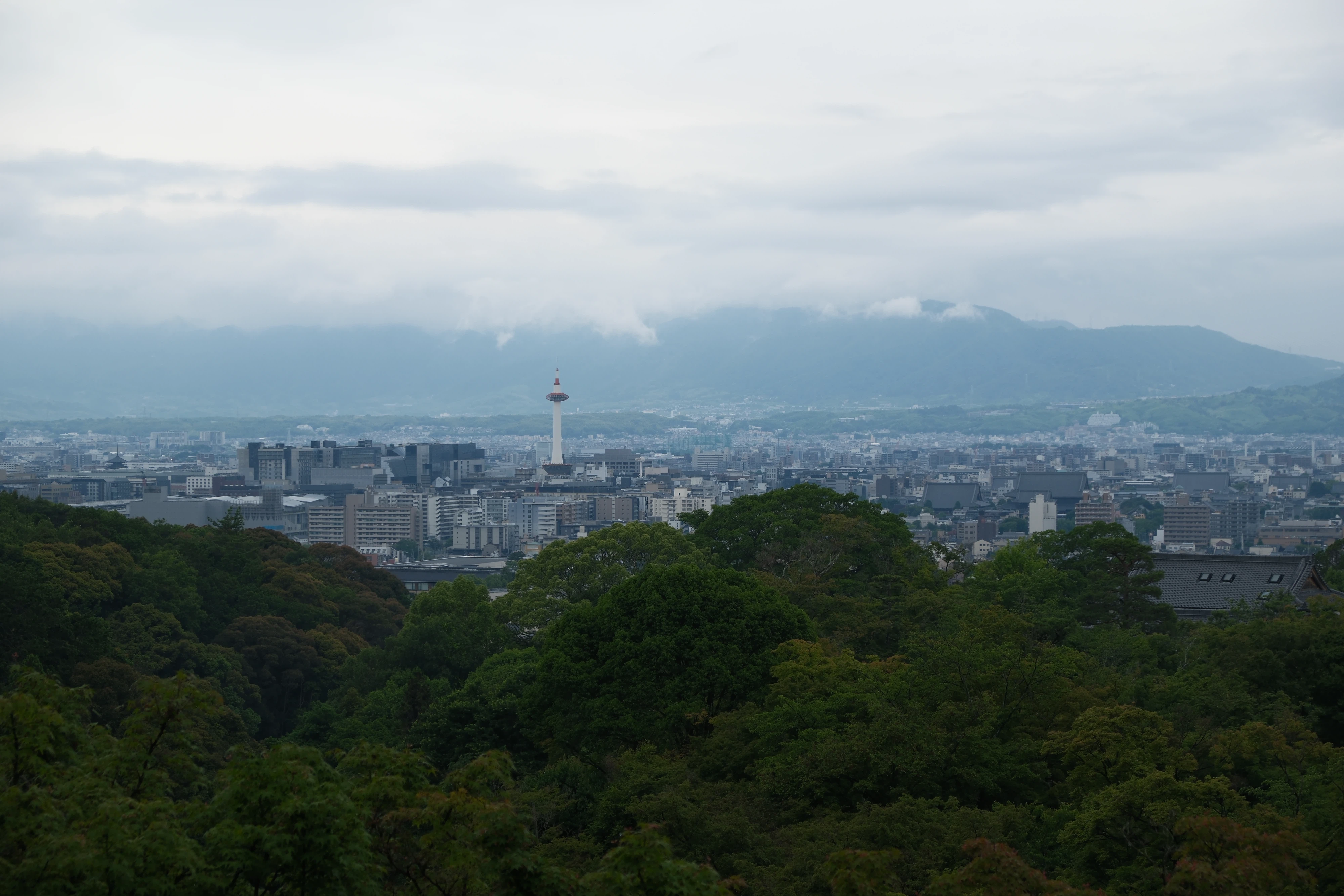 雨の京都 雨の京都