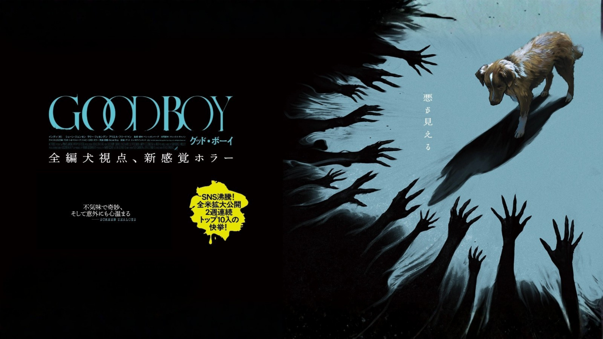 电影《Good Boy》
